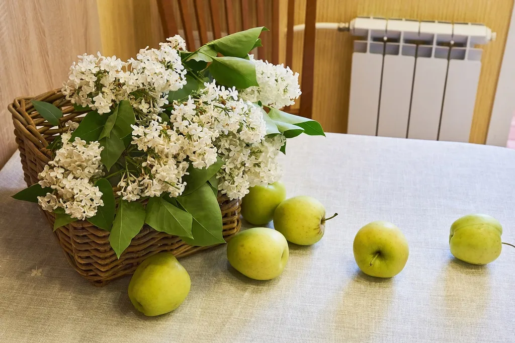 Квартира Апартаменты у дуба — Великий Новгород