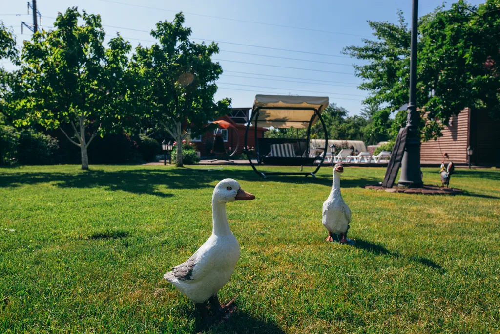 Берег мечты