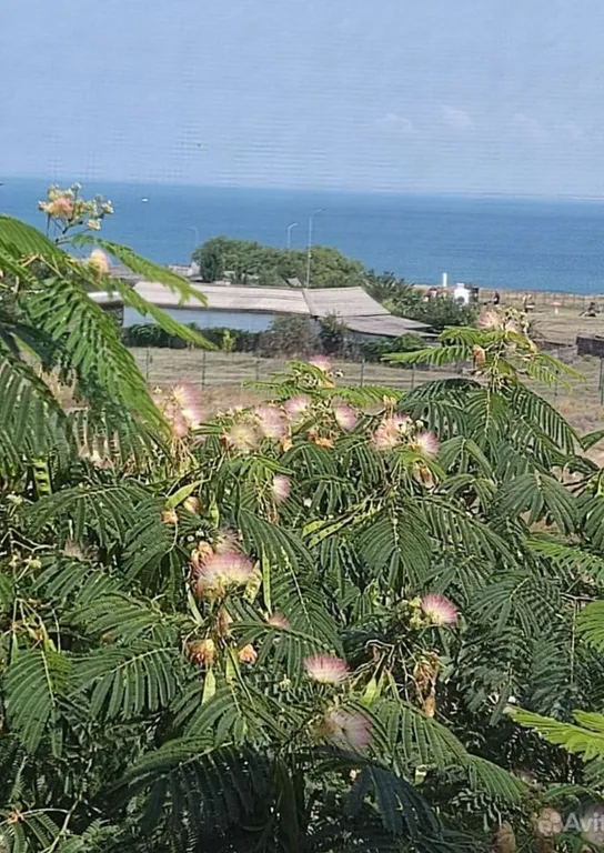 Танхаус у моря