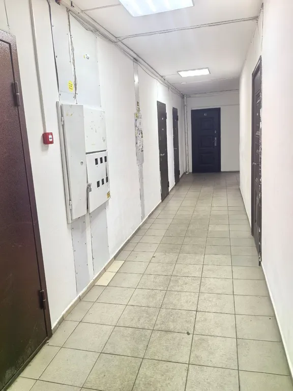 Студия в центре