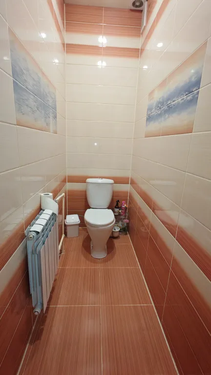 Уютный дом в центре Великого Устюга