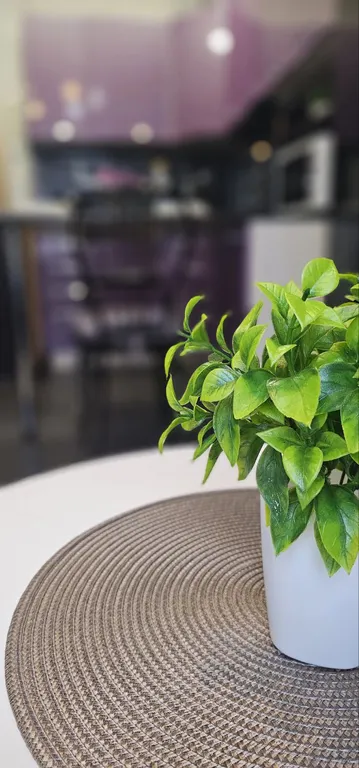 Уютная студия для двух гостей