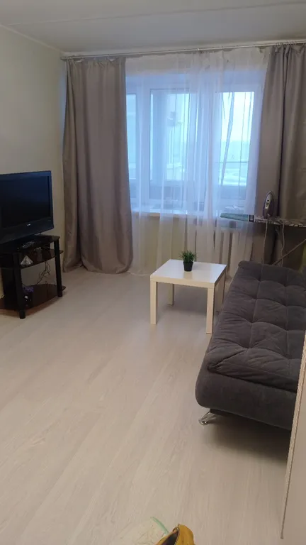 Красивая чистая квартира с красивым видом на арену