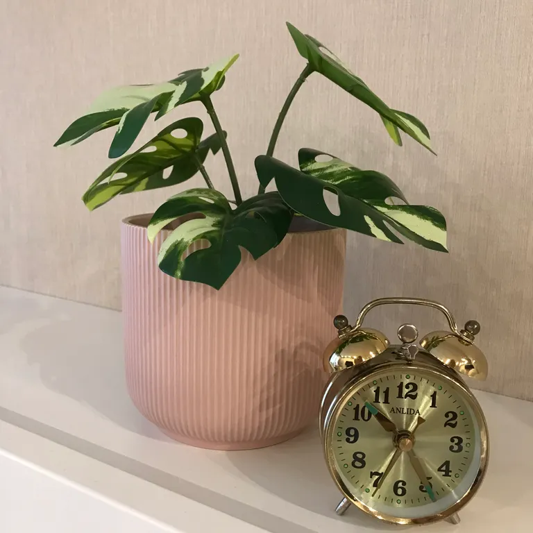 Квартира Уютная квартира класса Комфорт — Ломоносов