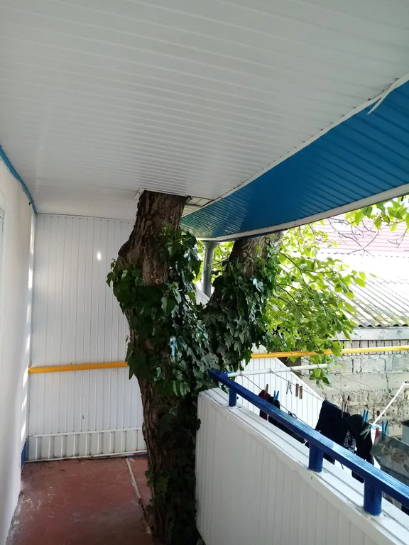 Комфортные и просторные апартаменты