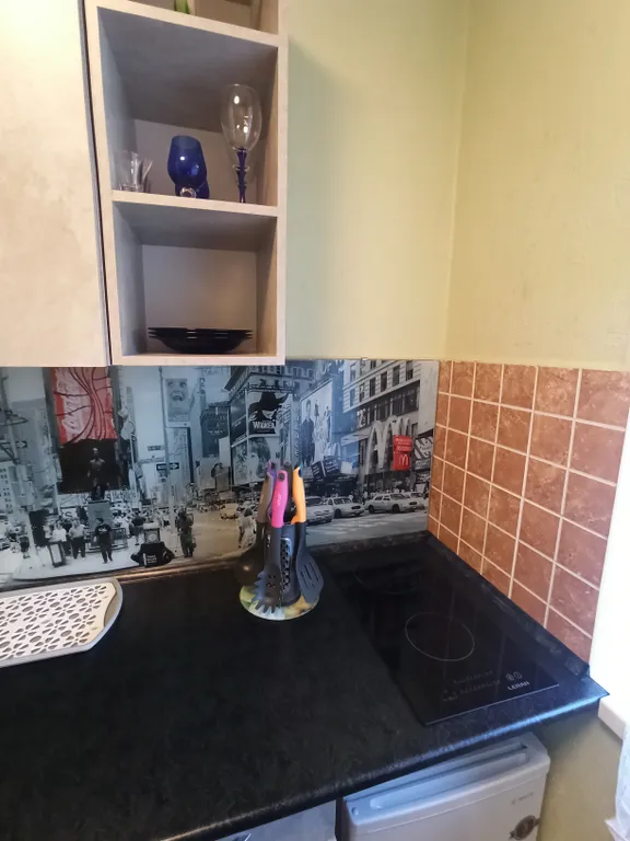 Уютная однoкомнатная квартиpа в цeнтрe города