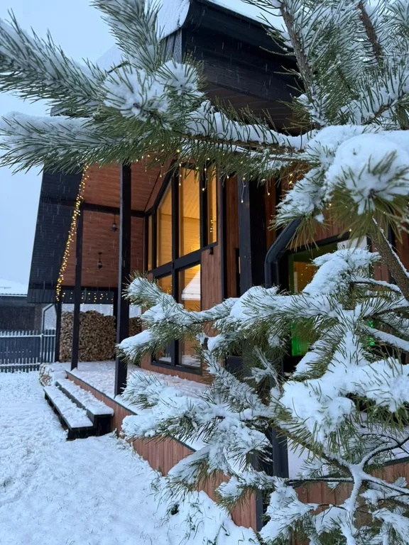 Дом шале с сауной