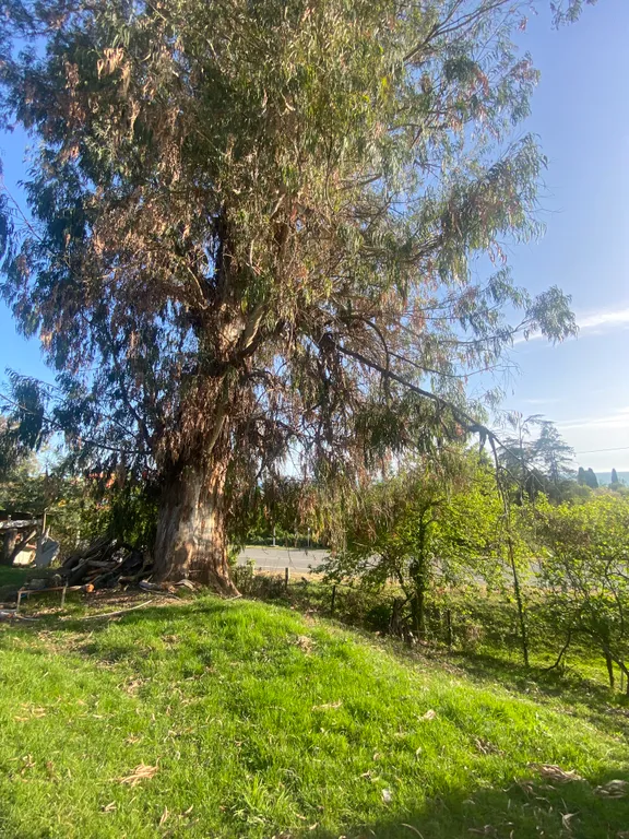 Улучшенный номер с видом на море