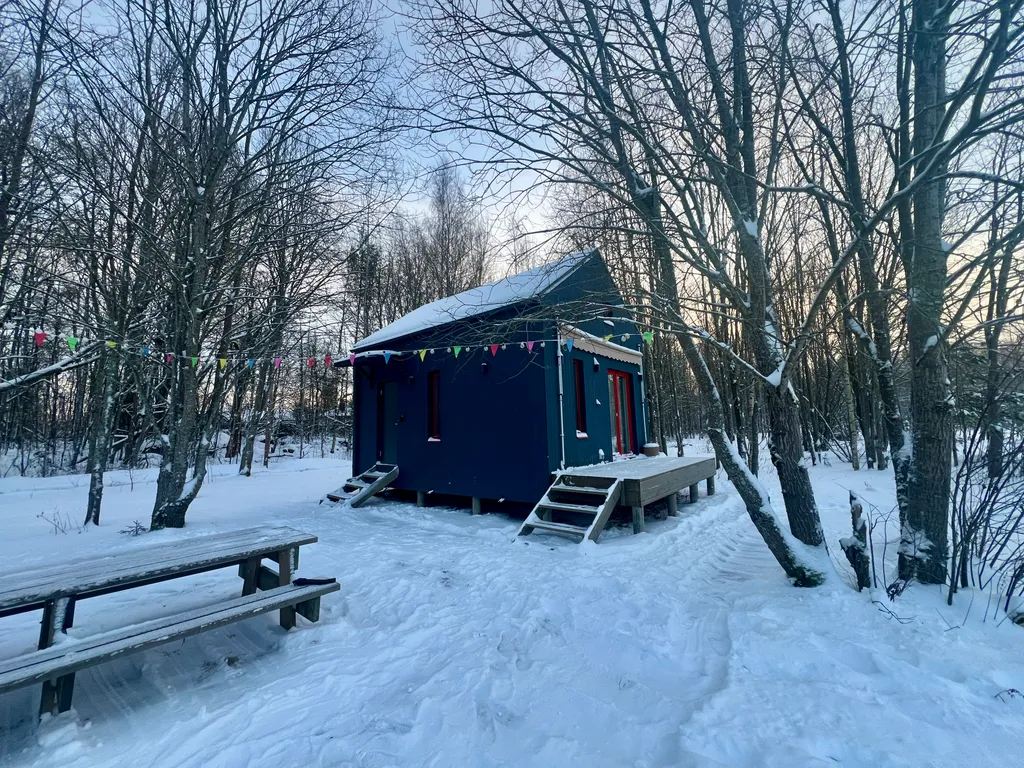 Синий домик в поле