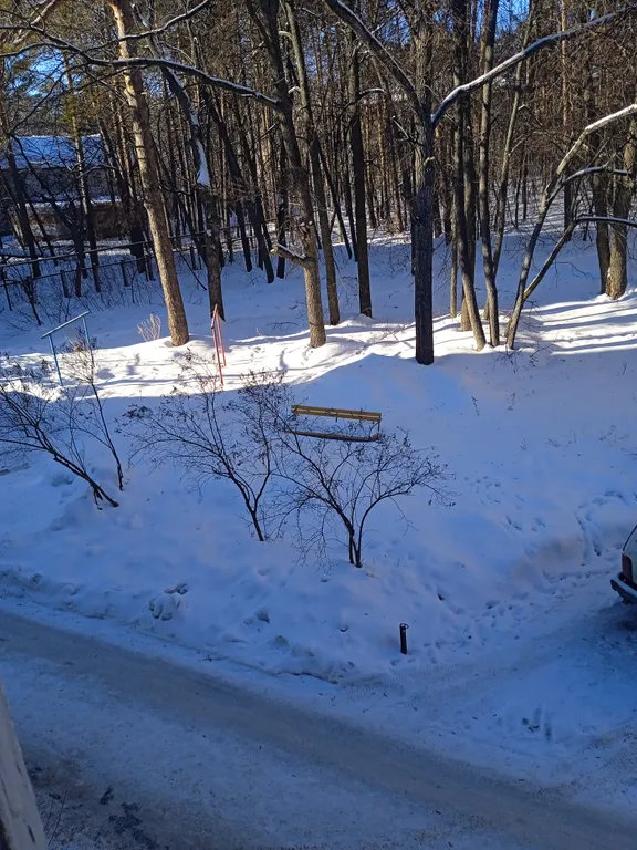 Апартаменты от Елены на Театральной