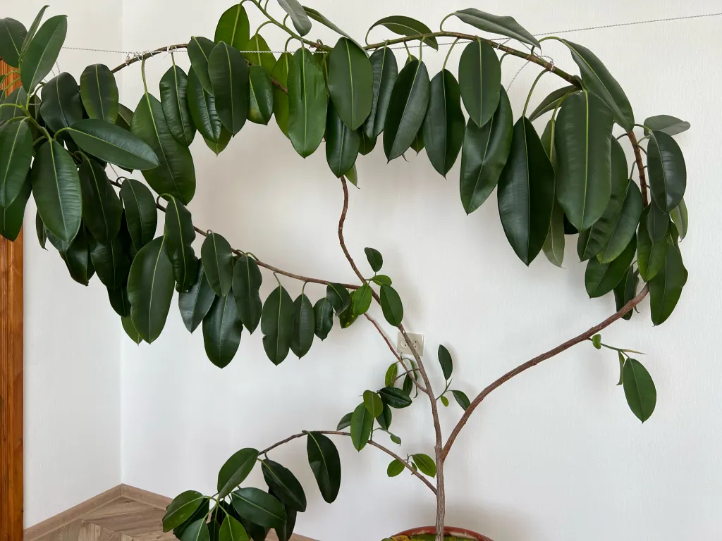 Квартира с видом на море