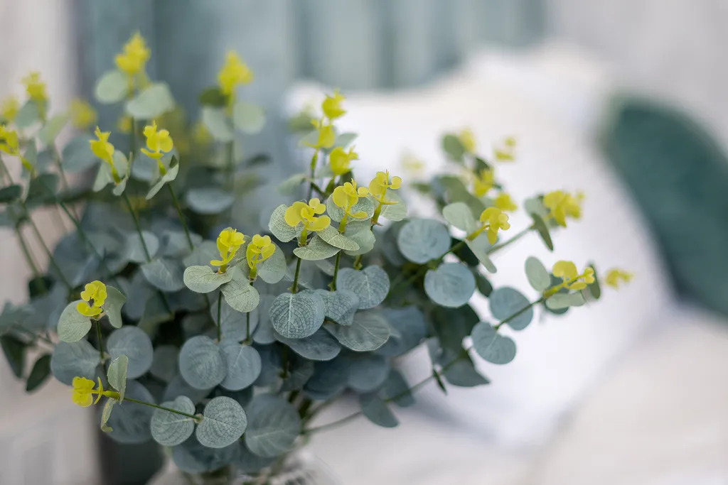 Апартаменты с видом на море и Олимпийский парк