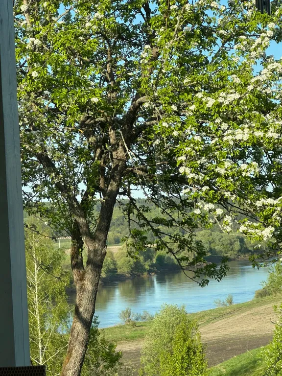 Дачный дом на реке Ока