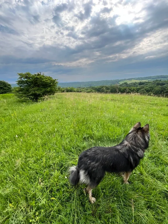 Дизайнерский дом