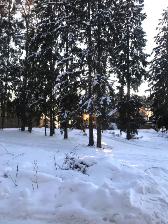 Коттедж в 100 метрах от озера