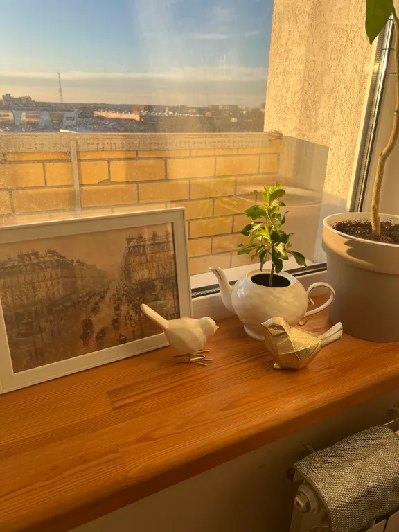 Уютная квартира с видом на город