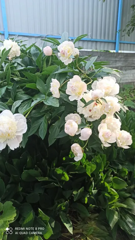 Домик в предгорье горы "50 лет"