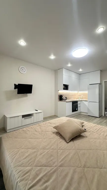 Стильная уютная новая квартира