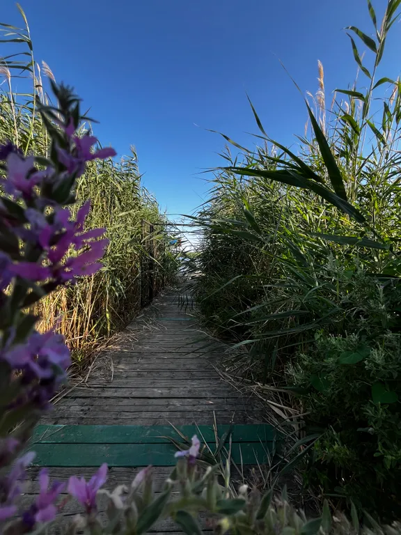 Гостевой дом Енот