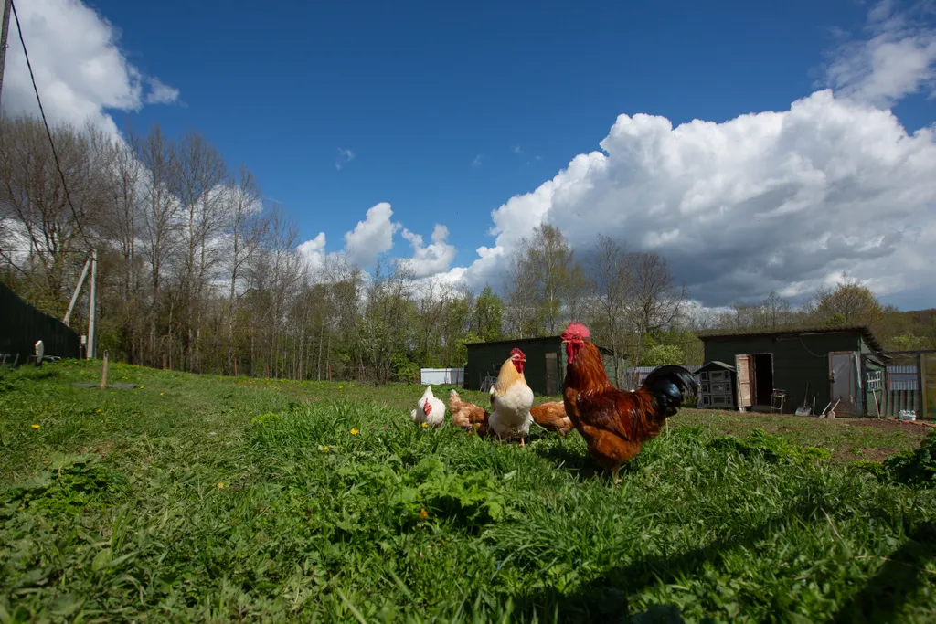 Двухэтажный домик