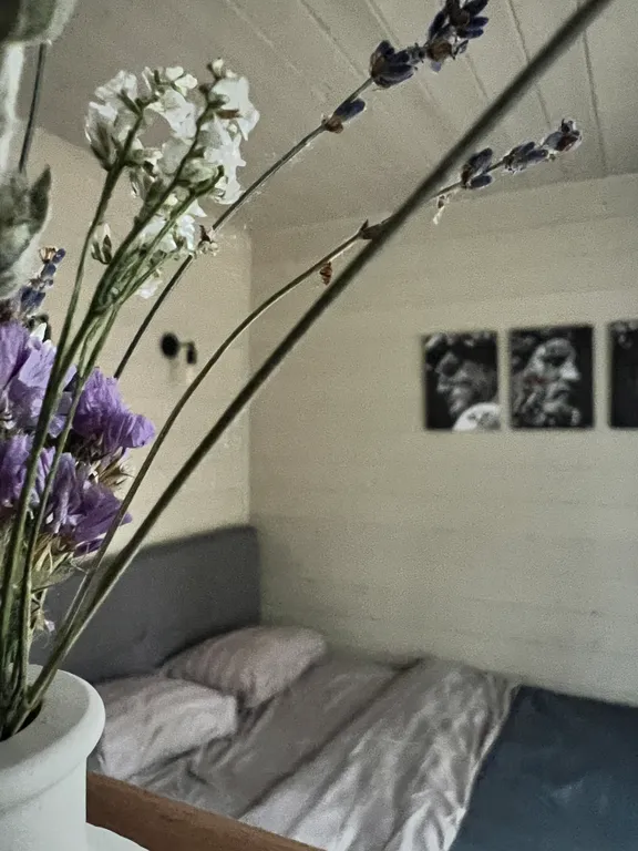 Барнхаус в окружении леса – здесь время течет иначе