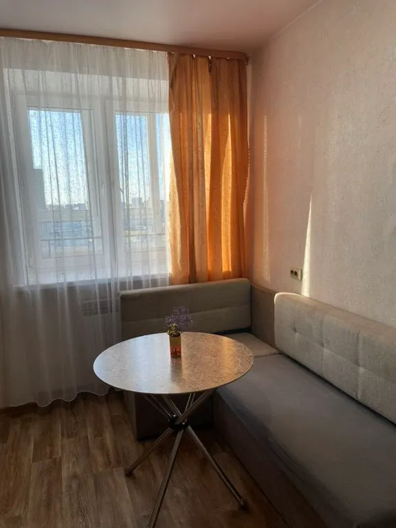 Большая и уютная квартира в центре города