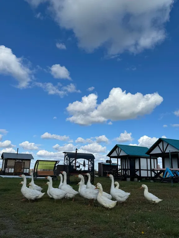 Летний четырехместный домик с верандой