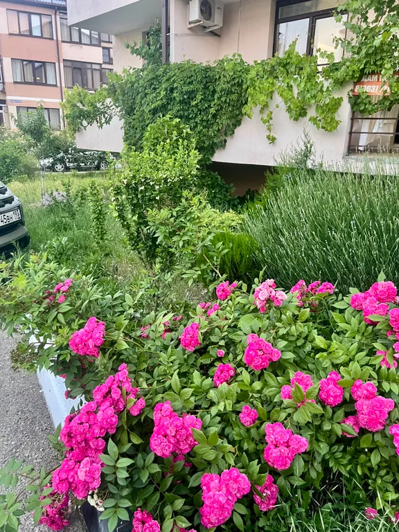 Просторная студия для комфортного отдыха