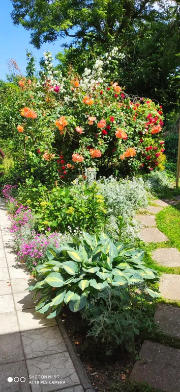 Студия с уютным двориком