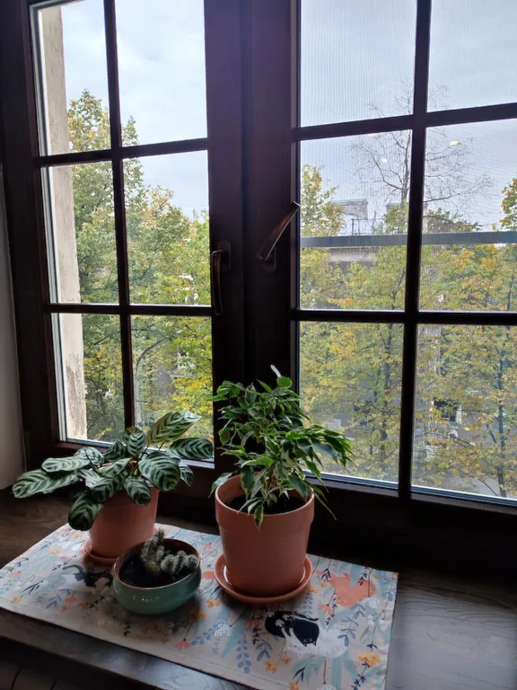 Апартамент Мариинка