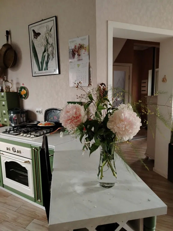 Уединенная часть дома с садом и барбекю