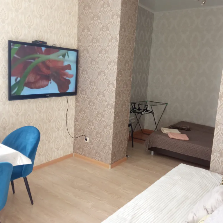 Квартира-студия в центре города