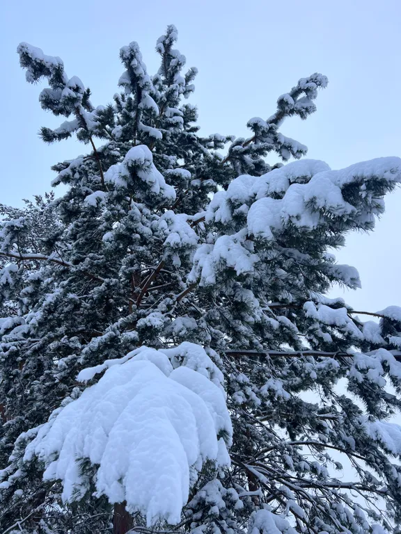 Уютный дом с панорамным видом рядом с природным парком Оленьи ручьи