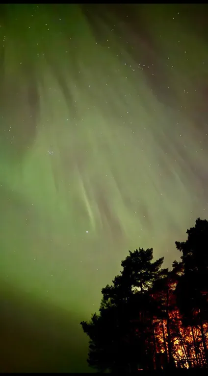 Комфортная квартира на первой линии Финского залива