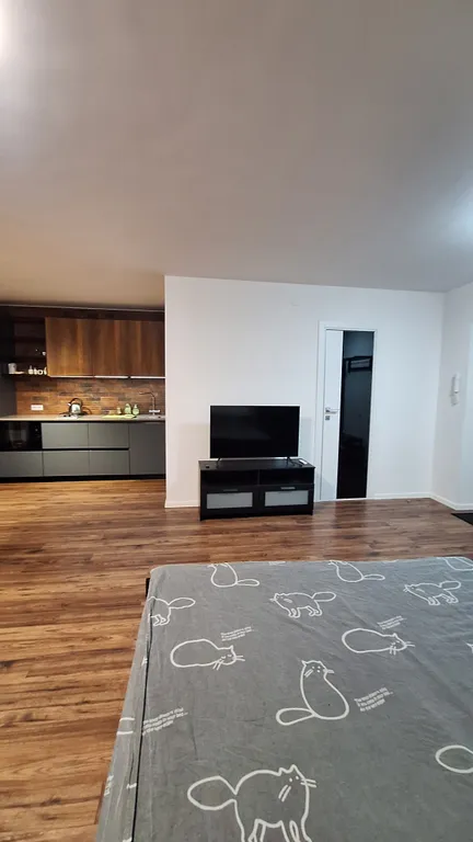 Красивые однокомнатные апартаменты