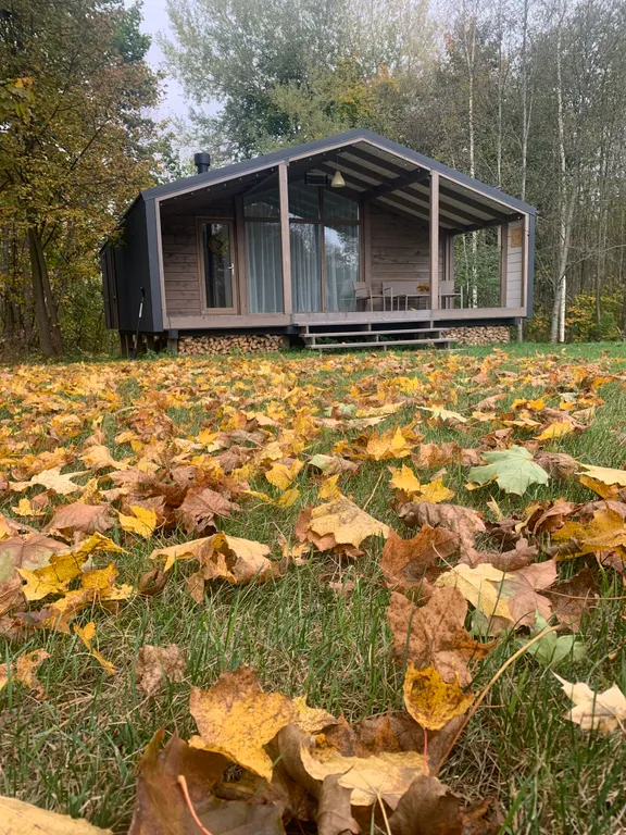 Дом с панорамными окнами в окружении леса