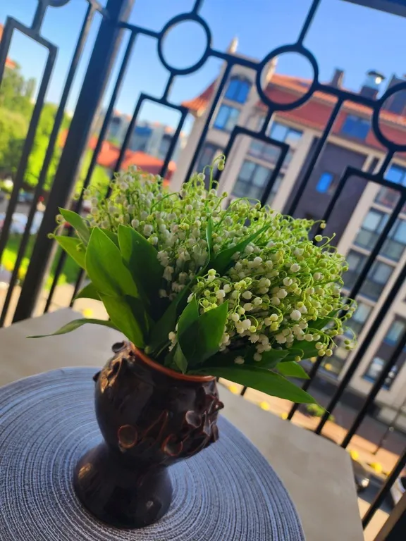 Квартира Квартира Romantic City apartments — Калининград