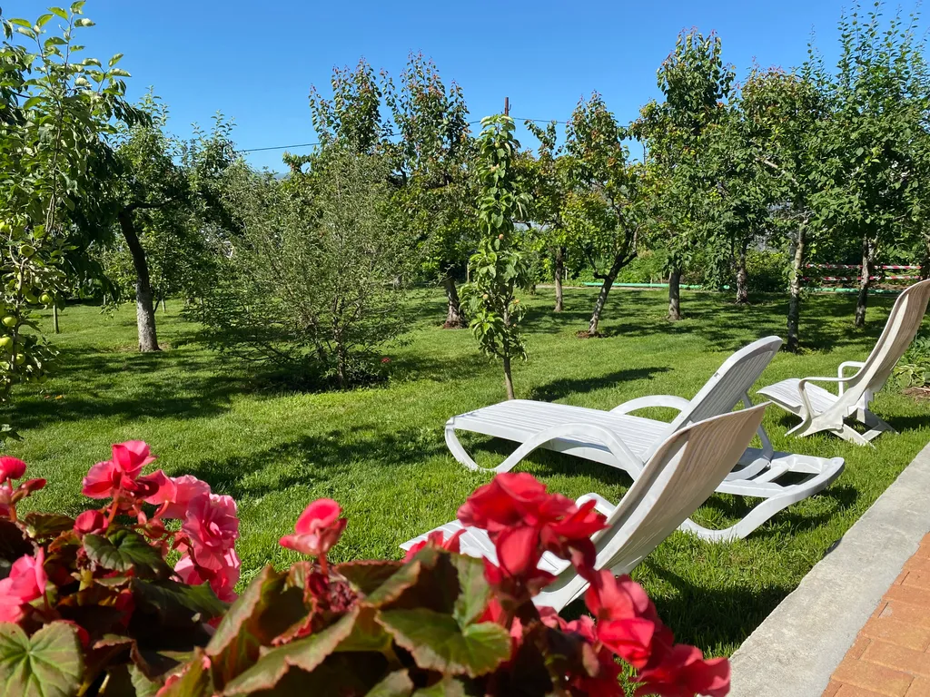 Бассейн в домике шале с сауной и мангалом