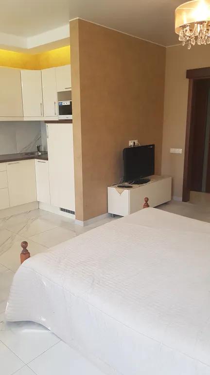 Квартира 1-комнатная Квартира — Пушкин