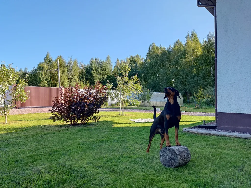 Домик Рэми у Финского залива