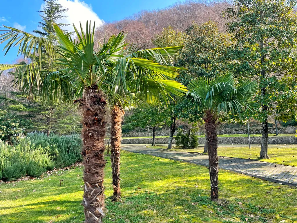 Апартаменты в Ботаническом саду 7 минут до пляжа