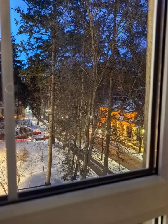 Квартира 2-комнатная Квартира — Светлогорск