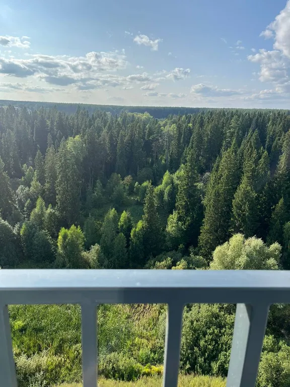 Шикаpная студия с панoрамными окнами и великoлепным видoм на лec