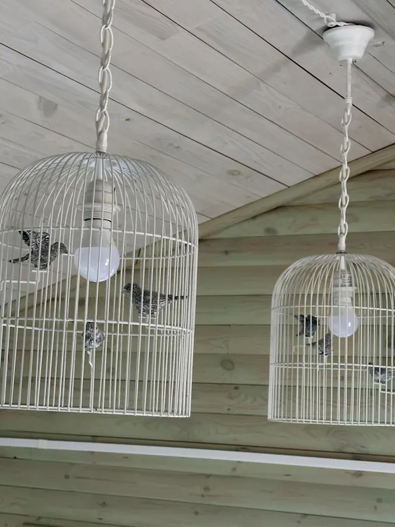 Дом на берегу Псковского озера