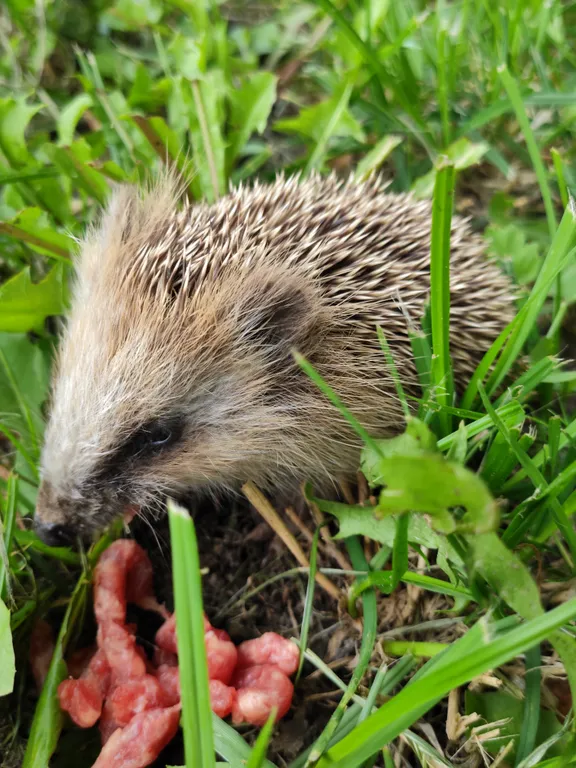 Дом на Волге