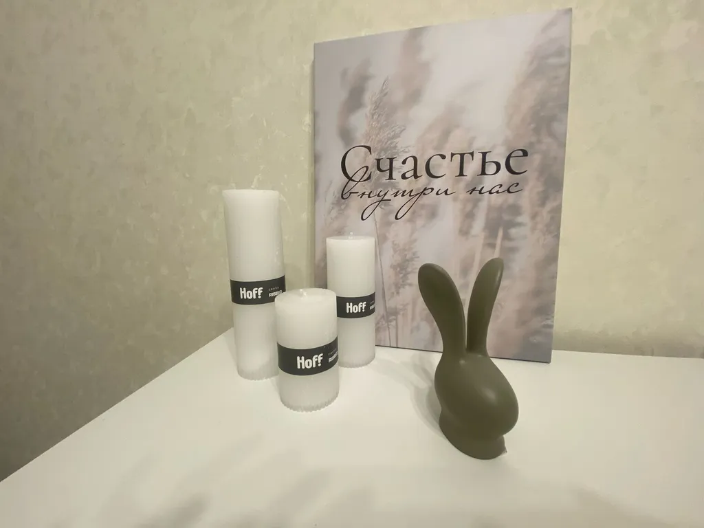 Квартира Квартира в элитном новом ЖК, рядом с лесным масивом — Воронеж