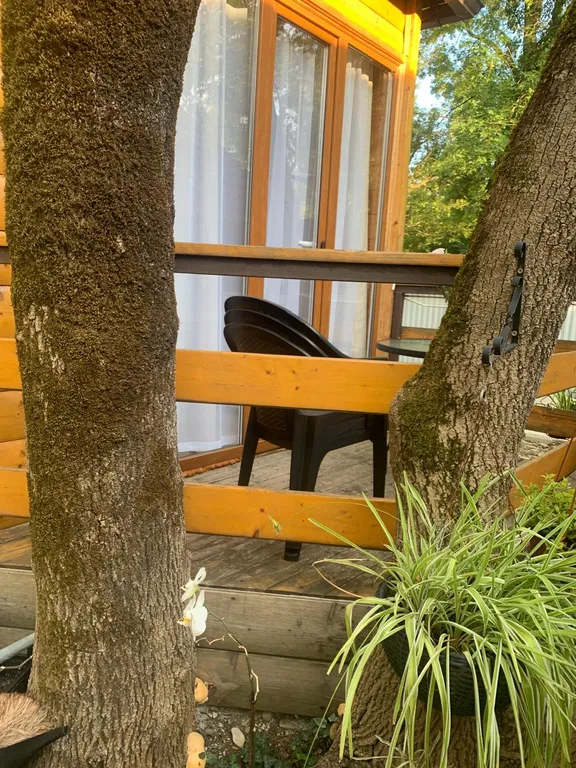 Однокомнатный коттедж в тени деревьев