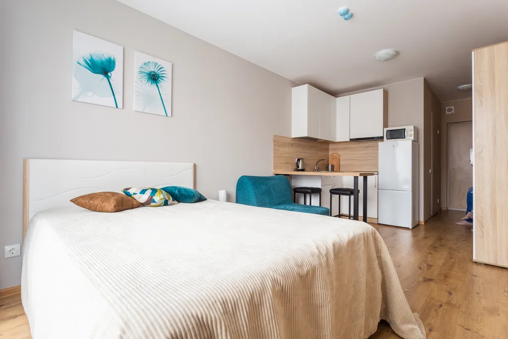 Студия у метро Парнас