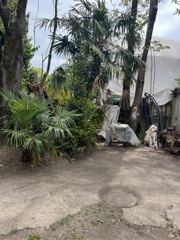 Квартира Квартира Красивая студия возле парка и пляжа Ривьера — Сочи