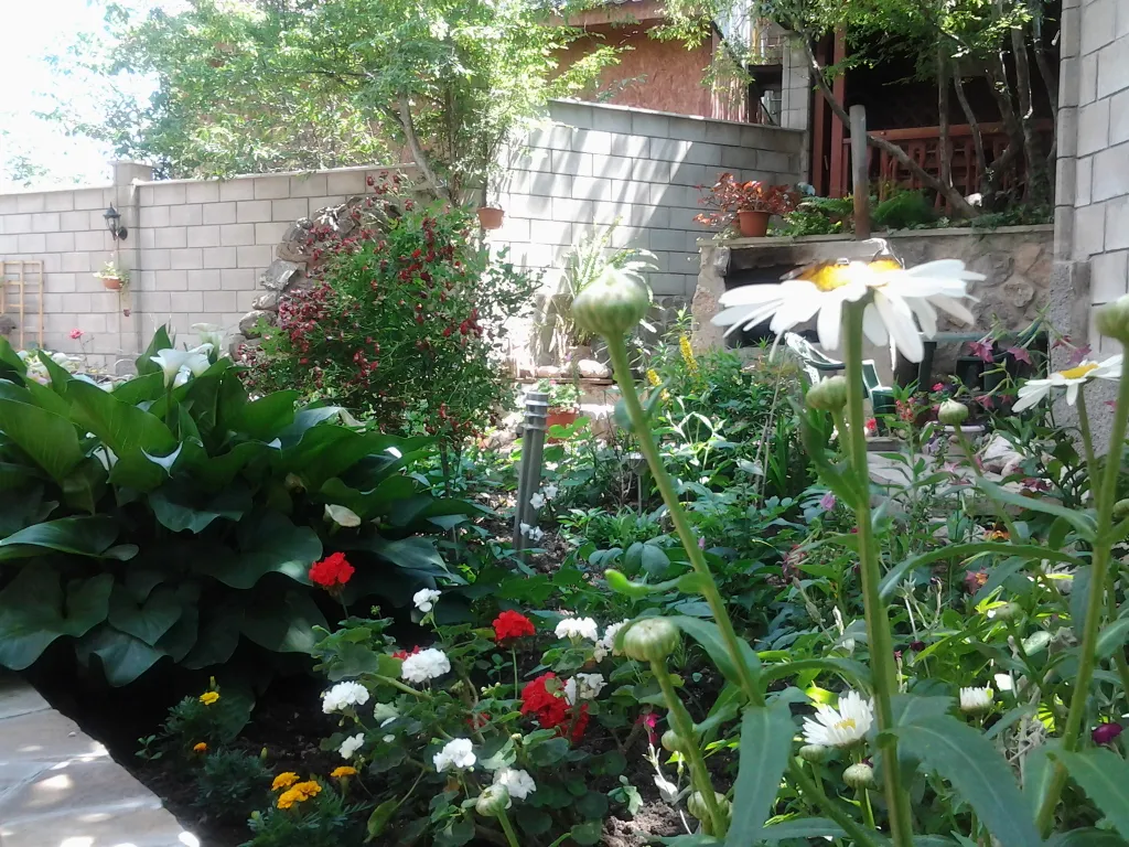 Квартира Комната — Кацивели